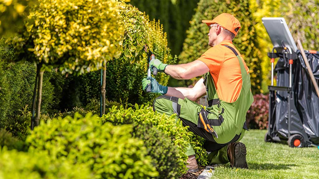 Commercial landscaping contractor working.